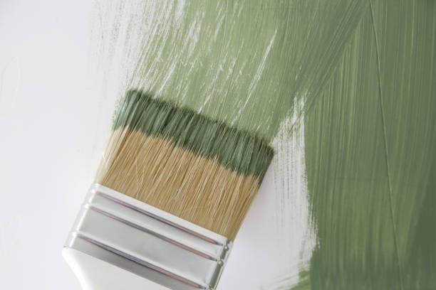 Professional Mold Removal in Taos, NM