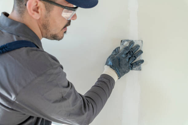 Best Mold Odor Removal Services  in Taos, NM