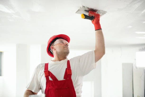 Best Mold Remediation for Healthcare Facilities  in Taos, NM