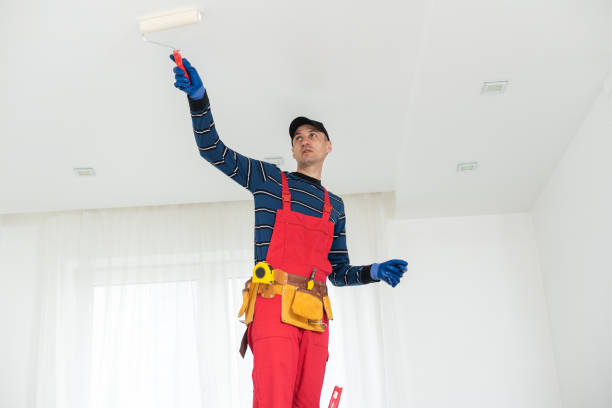 Best Black Mold Removal  in Taos, NM