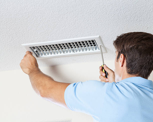 Best Black Mold Removal  in Taos, NM