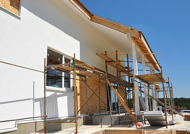  Taos, NM Mold Removal Pros